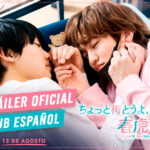 Tráiler de ‘Wait a Minute, Harutora-kun’: el nuevo BL japonés presenta su primer adelanto con Sakuragi Masaya y Nakagawa Tsubasa